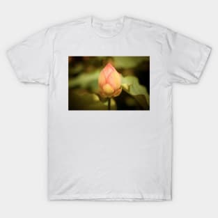 A Single Pink Lotus Bud T-Shirt